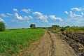 Подробнее